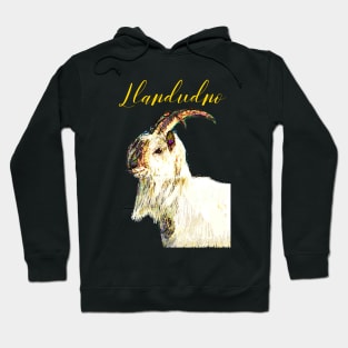 LLANDUDNO GREAT ORME GOAT GOLD Hoodie